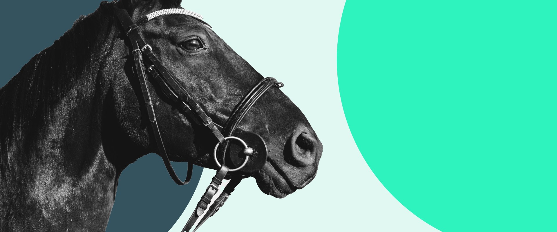 How to Win Big with Quinella and Exacta Box Bets