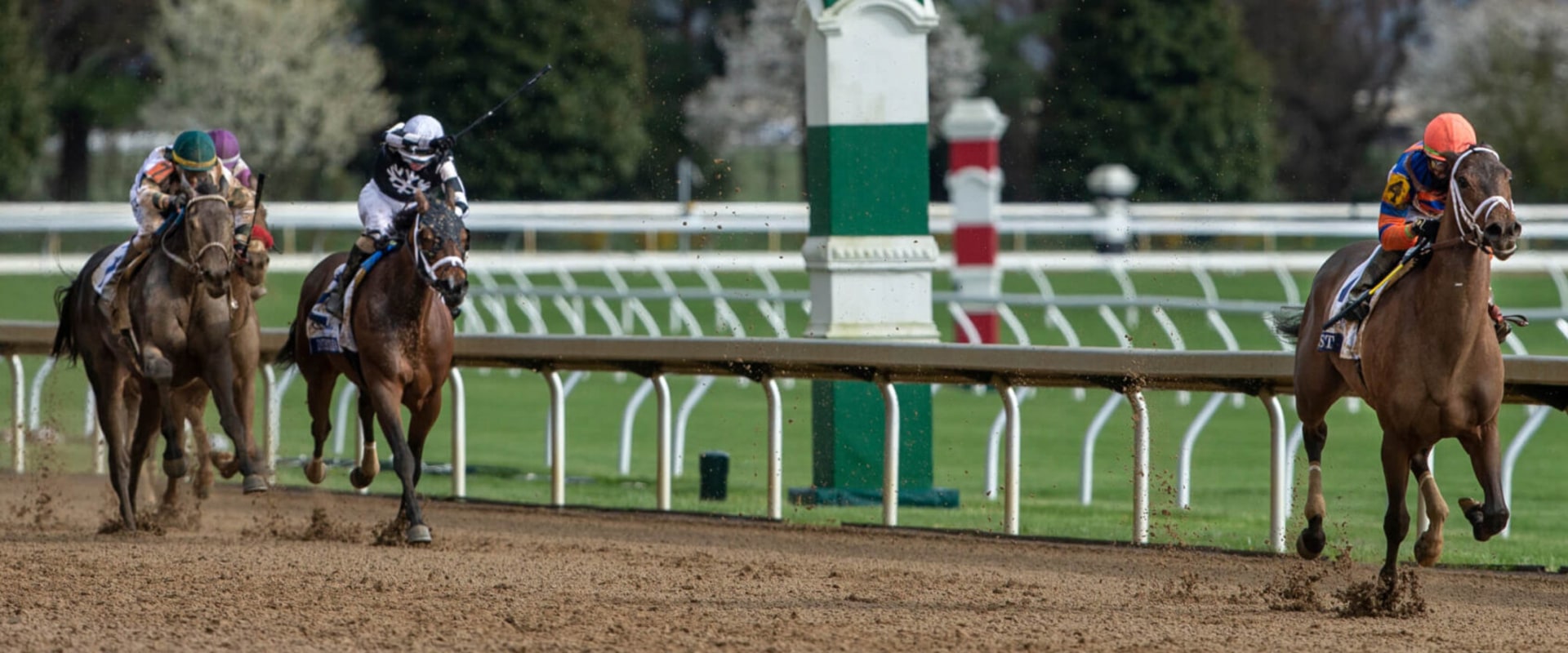 Understanding Exacta, Trifecta, and Superfecta Bets