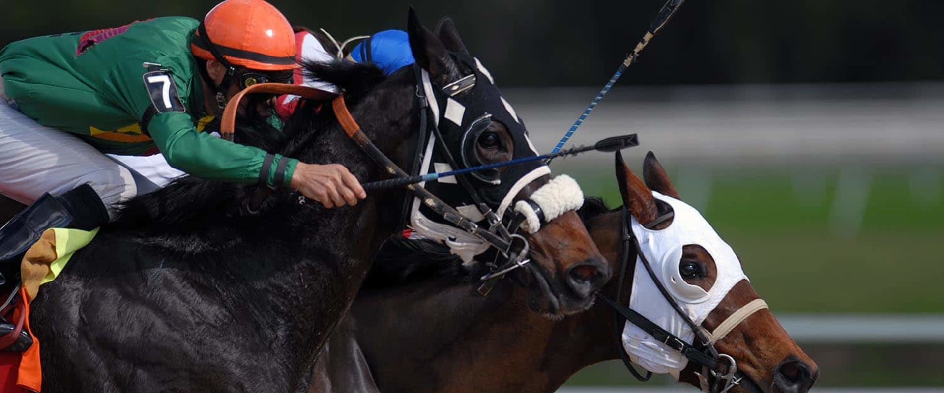 Understanding Daily Double and Pick 6 Bets in Horse Racing