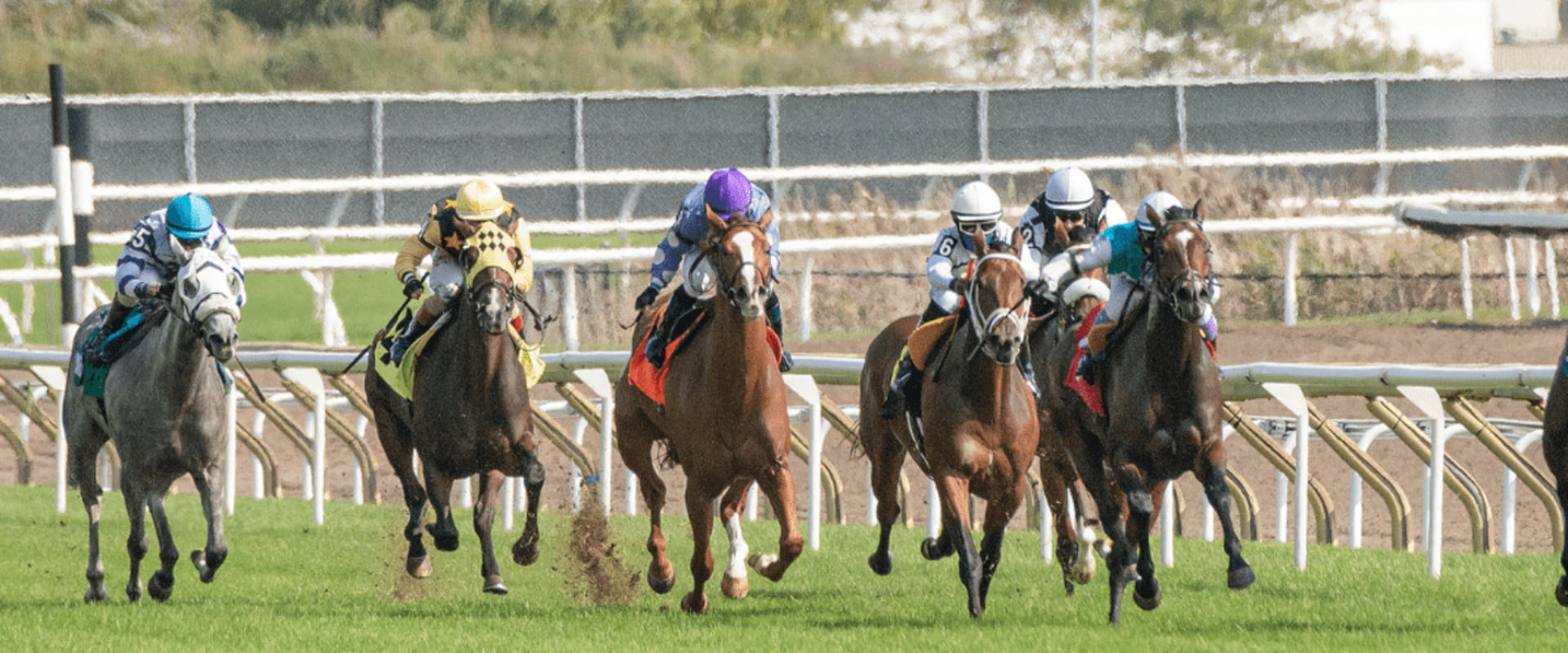Understanding Trifecta Box and Superfecta Box Bets