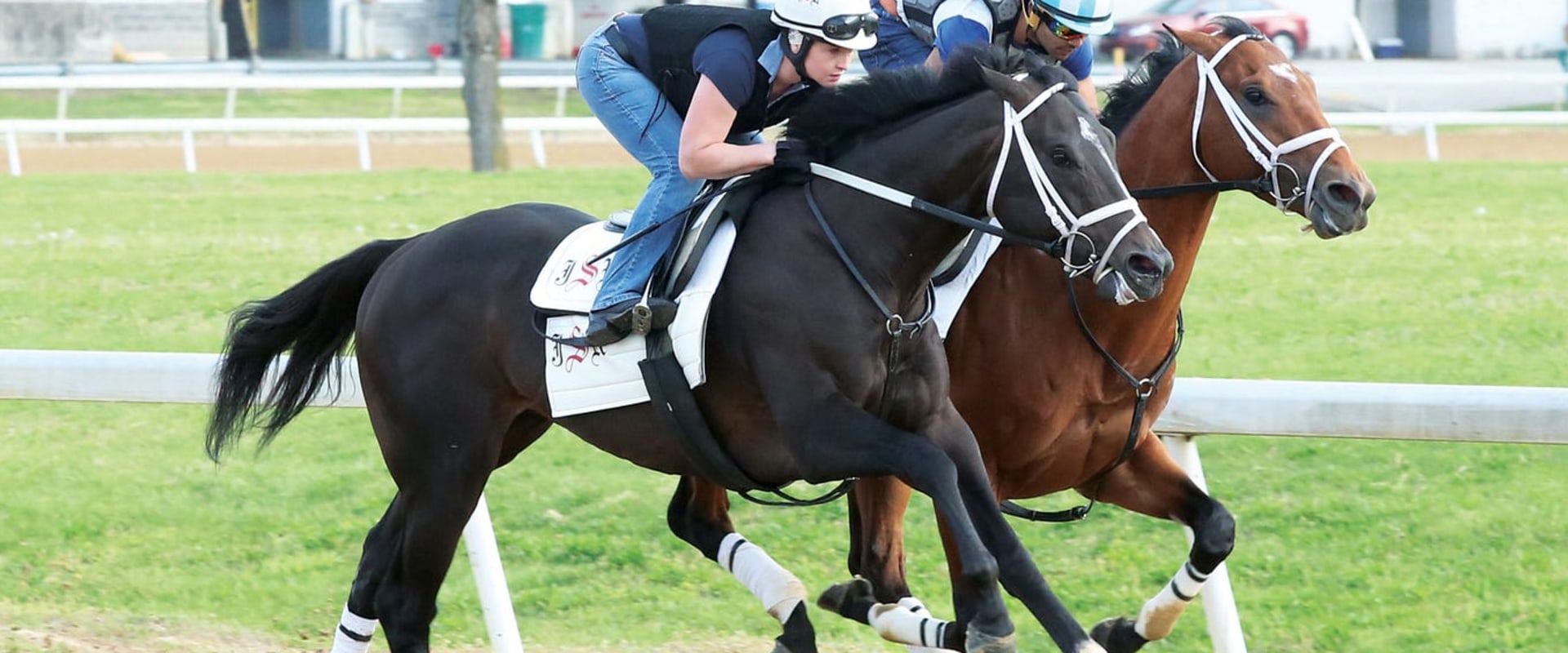 Understanding Key and Wheel Bets: A Complete Guide to Exotic Horse Racing Betting
