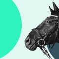 How to Win Big with Quinella and Exacta Box Bets