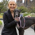 Identifying Vulnerable Horses: A Guide to Understanding Greyhound Lay Systems