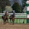 Understanding Exacta, Trifecta, and Superfecta Bets