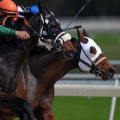 Understanding Daily Double and Pick 6 Bets in Horse Racing
