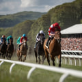 Incorporating Betting Market Trends: A Comprehensive Look at Greyhound Lay Systems and Other Forms of Horse Racing Betting