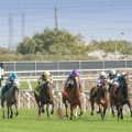 Understanding Trifecta Box and Superfecta Box Bets