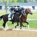 Understanding Key and Wheel Bets: A Complete Guide to Exotic Horse Racing Betting