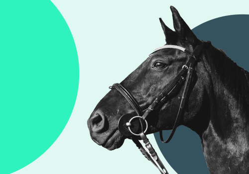 How to Win Big with Quinella and Exacta Box Bets