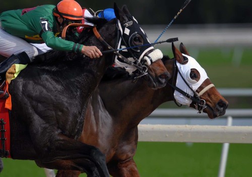 Understanding Daily Double and Pick 6 Bets in Horse Racing