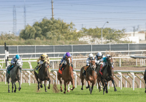 Understanding Trifecta Box and Superfecta Box Bets