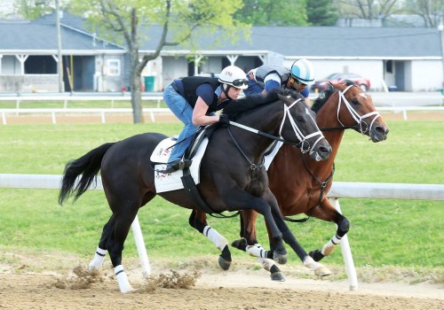 Understanding Key and Wheel Bets: A Complete Guide to Exotic Horse Racing Betting